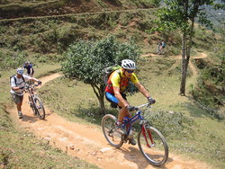 country side, vietnam, rice field, green field, cycling tours, biking tours, tours on bike, adventure tours, tour of vietnam, trips in vietnam, vietnam travel