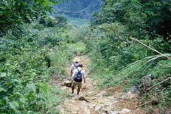 sapa treking tours, trek sapa, sapa trek, adventure tour. hamong hill tribe, dao hill tribe, vietnam adventure