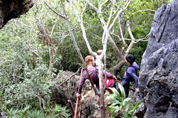 cuc phuong national park, cuc phuong park, cuc phuong trek, adventure tours, vietnam tours