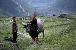 sapa trek, treking sapa, adventure tours, adventure trips, tour vietnam, vietnam trips, travel vietnam