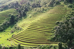 can cau market, bac ha market, adventure tours, viet nam travel, vietnam tours