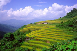 sapa treking tours, trek sapa, sapa trek, adventure tour. hamong hill tribe, dao hill tribe, vietnam adventure