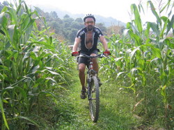 country side, vietnam, rice field, green field, cycling tours, biking tours, tours on bike, adventure tours, tour of vietnam, trips in vietnam, vietnam travel