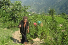 can cau market, bac ha market, adventure tours, viet nam travel, vietnam tours