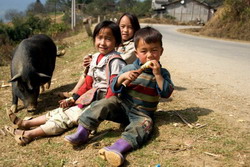 country side, vietnam, rice field, green field, cycling tours, biking tours, tours on bike, adventure tours, tour of vietnam, trips in vietnam, vietnam travel