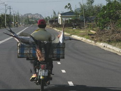 Vietnam biking tour, cycling tours vietnam, viietnam travel, travel vietnam, adventure tours, adventure trips, vietnam adventure, adventure holiday vietnam