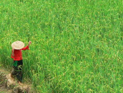 can cau market, bac ha market, adventure tours, viet nam travel, vietnam tours