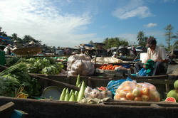 Market mekong tour, tour to mekong, mekong adventure, tour of mekong, mekong vietnam