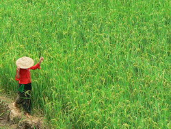 Vietnam adveture, adventure vietnam, vietnam tour, tour of vietnam, vietnam vacation, vietnam holidays, holiday vietnam, vietnam trips, vietnam tour package