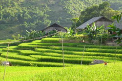 Sapa trekking oturs, trek sapa, sapa trek, adventure sapa, vietnam adventure, vietnam tours