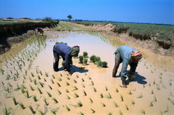 Mekong adventure, adventure mekong, mekong tours, tours mekong, me kong cruise